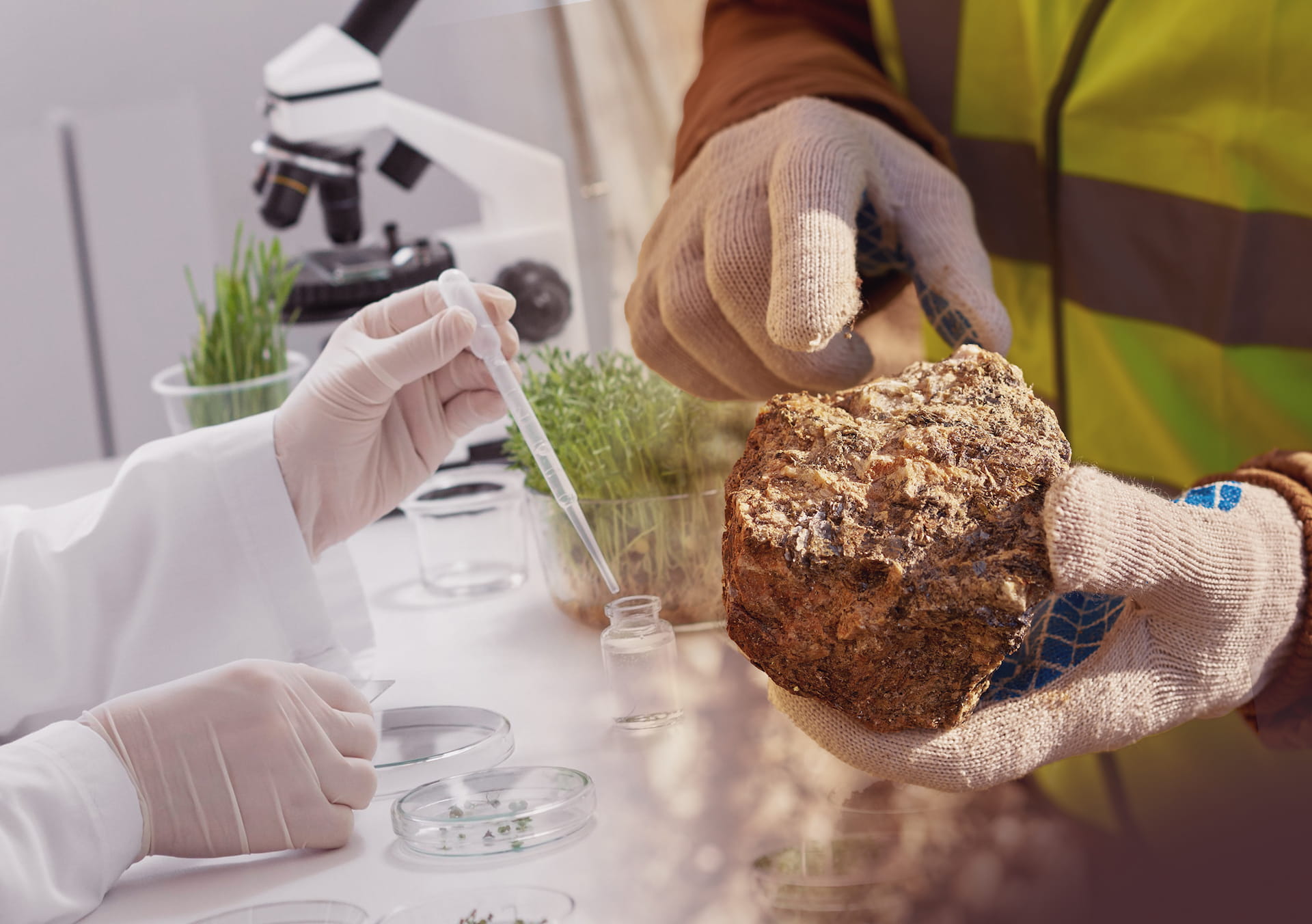 Sigmatech Img Fusion Biotecnologia Mineria